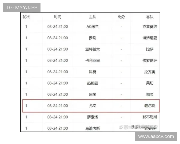 2025赛季意甲后腰球员实力排名前十榜单分析