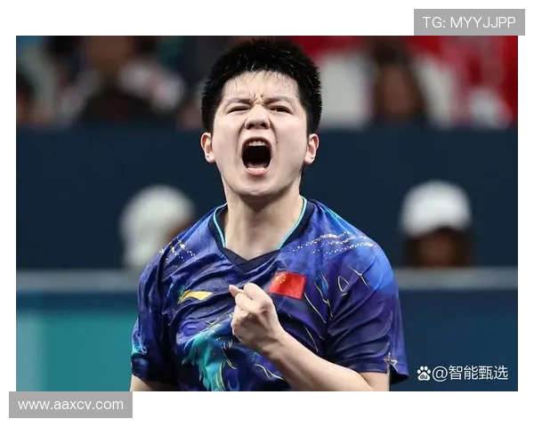 德国乒乓球甲级联赛参赛球队简介与赛季表现分析