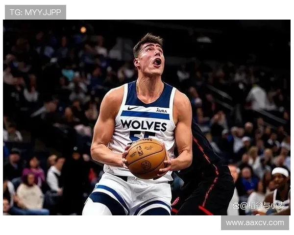 明尼苏达森林狼俱乐部全方位崛起之路与球队未来发展新篇章