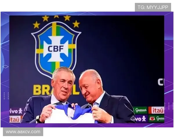 葡萄牙超级联赛冠军之路 探索强队背后的辉煌历程与未来展望